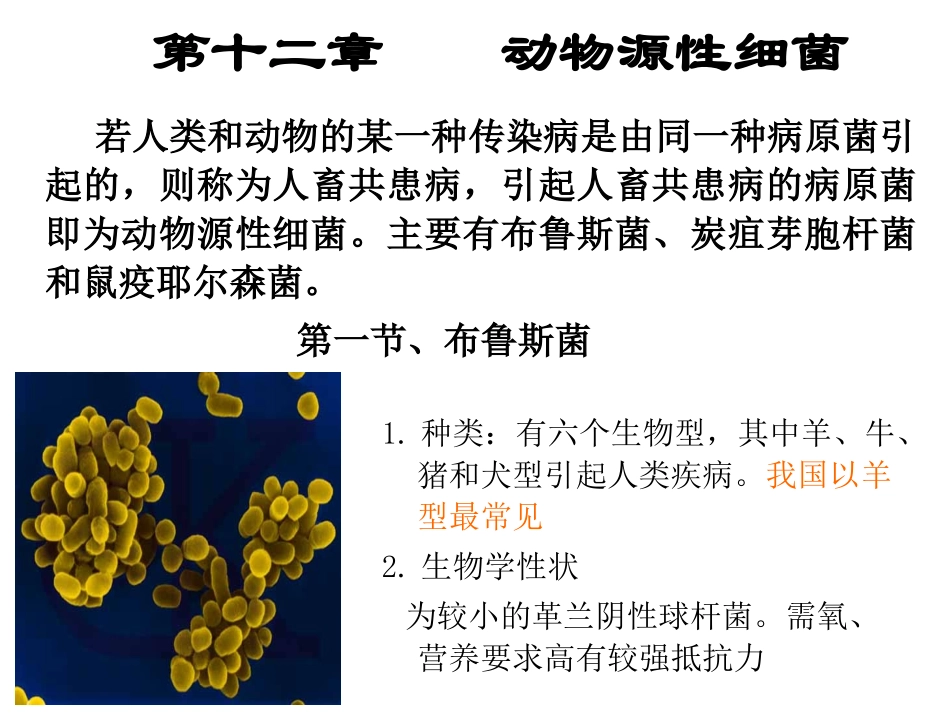 病原 第十三章_第1页