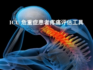 疼痛评估工具