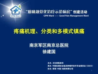 疼痛机理、分类和多模式镇痛