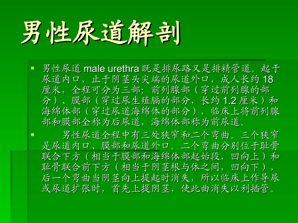男性尿道解剖_第1页
