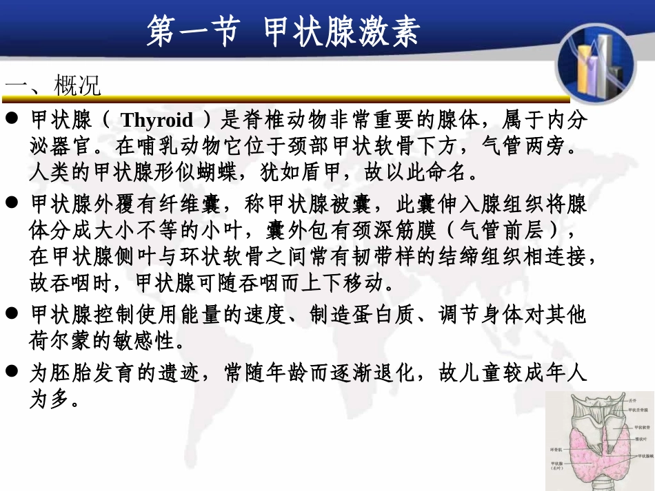 甲状腺激素及抗甲状腺药_第2页