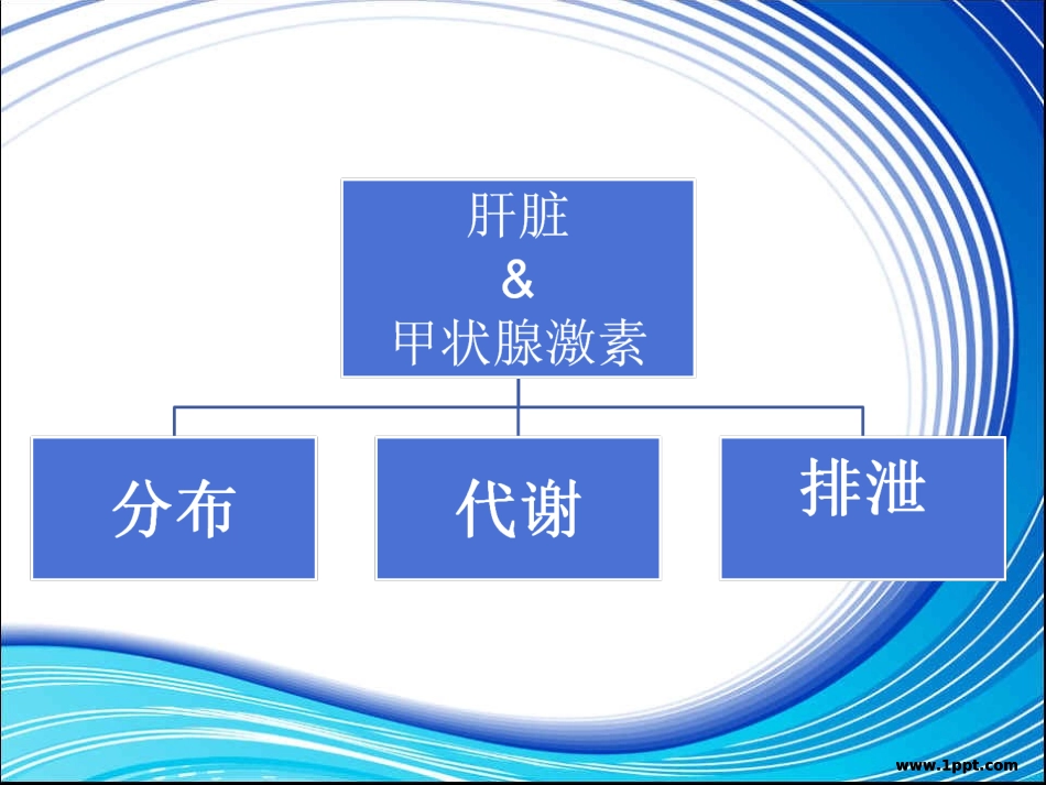 甲状腺功能与肝功能浅析_第3页