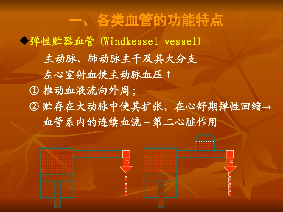 生理血液循环5(完整)_第3页