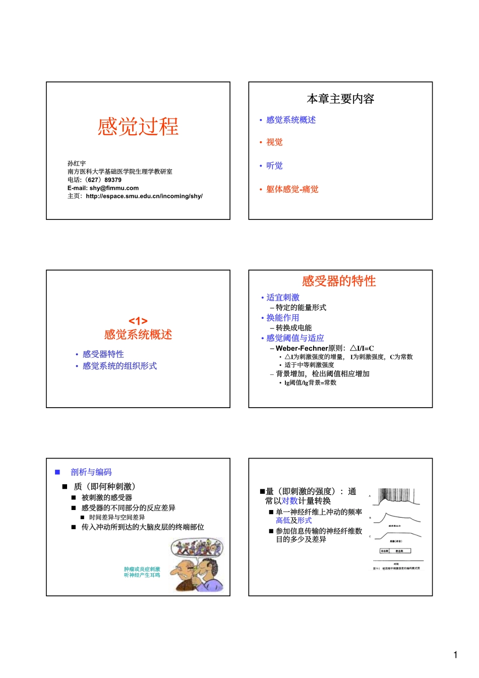 生理心理学02-感觉过程-1_第1页