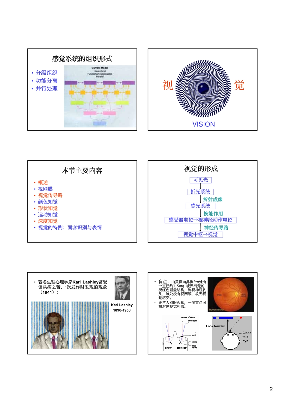 生理心理学02-感觉过程-1_第2页