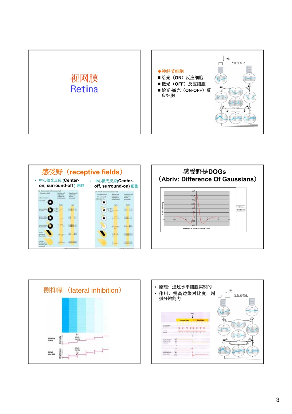 生理心理学02-感觉过程-1_第3页