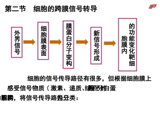 生理学课件细胞2wei