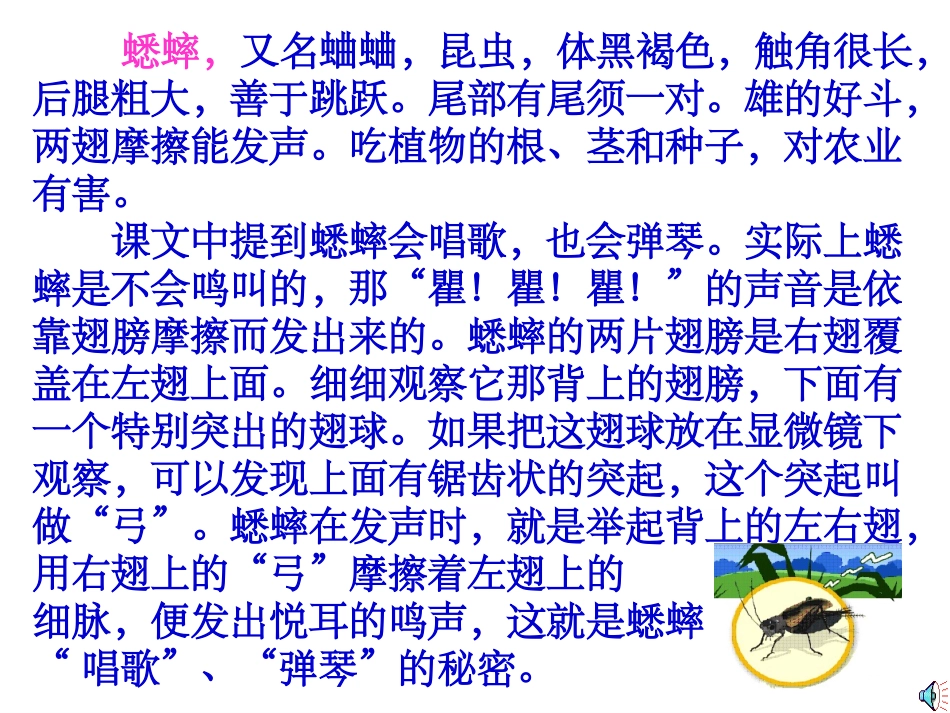 《蟋蟀的住宅》课件_第3页