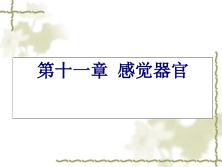 生理学 第十一章 感觉器官