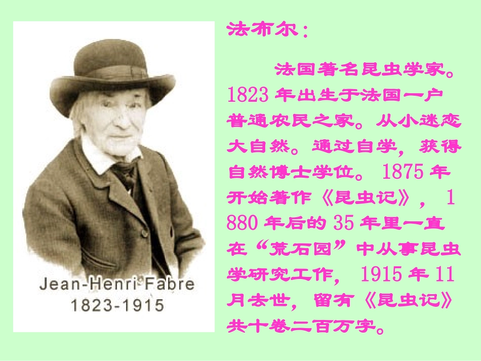 18绿色蝈蝈_第3页