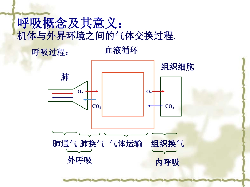 生理学_课件_05.呼吸[63P][1.26MB]_第2页