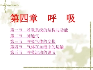 生理学_课件_05.呼吸[63P][1.26MB]
