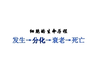 生物：细胞分化、衰老、凋亡、癌变复习课