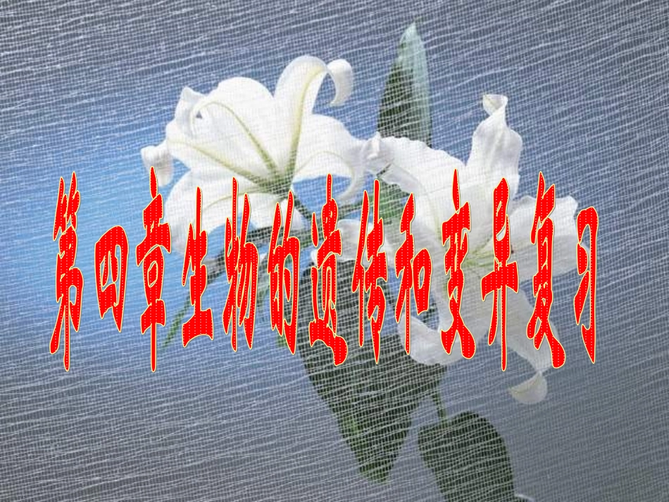 生物的遗传和变异ppt_第1页