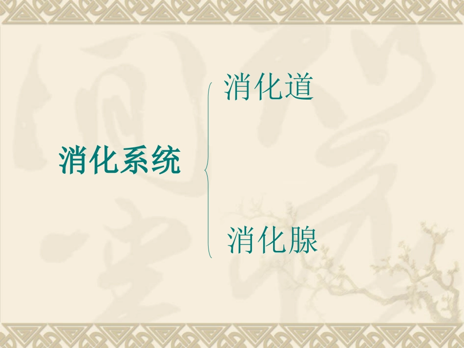 生物：2.2消化和吸收_第3页