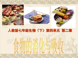 生物：2.2消化和吸收