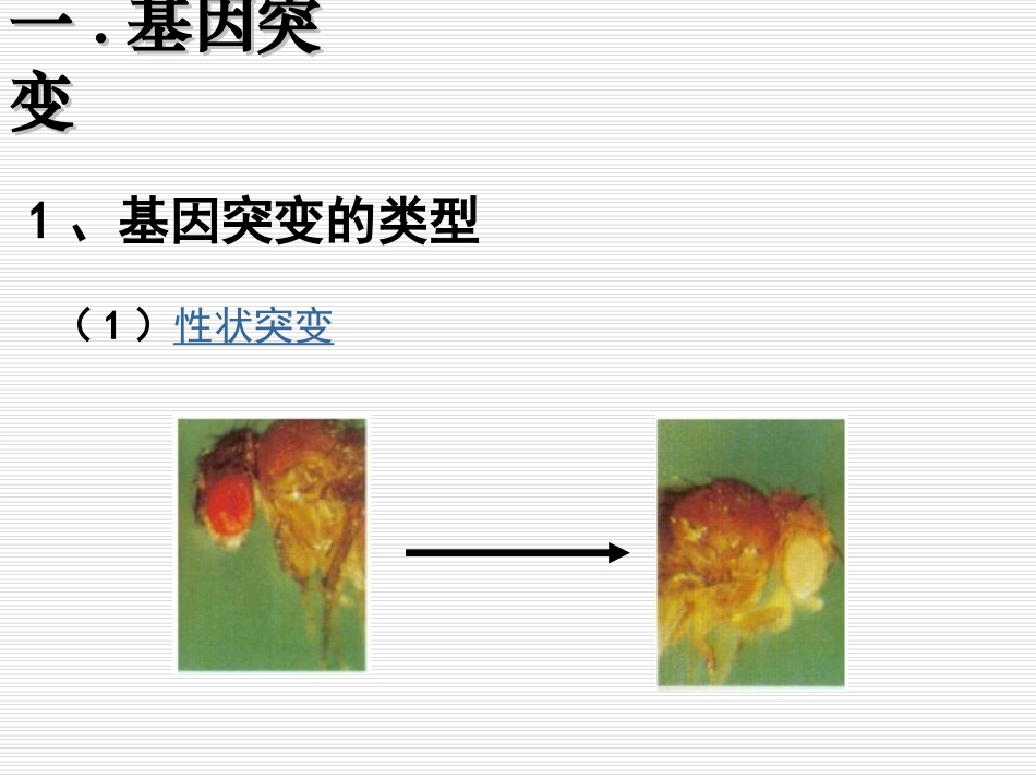 生物变异的来源_第2页