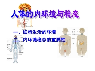 生物-第一章复习-人的内环境与稳态