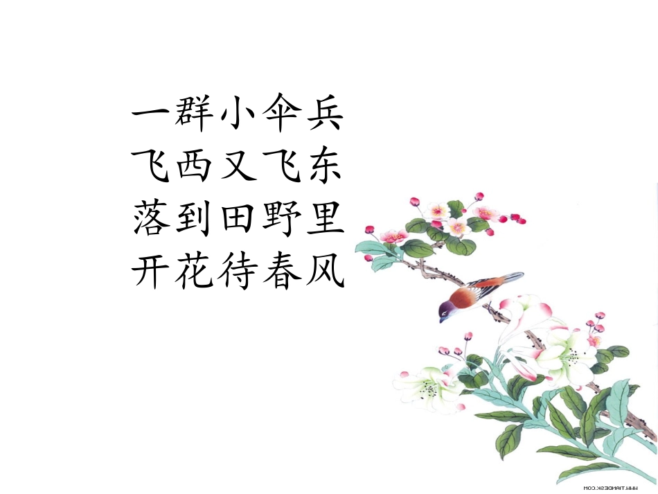 2.金色的草地。上课版_第1页