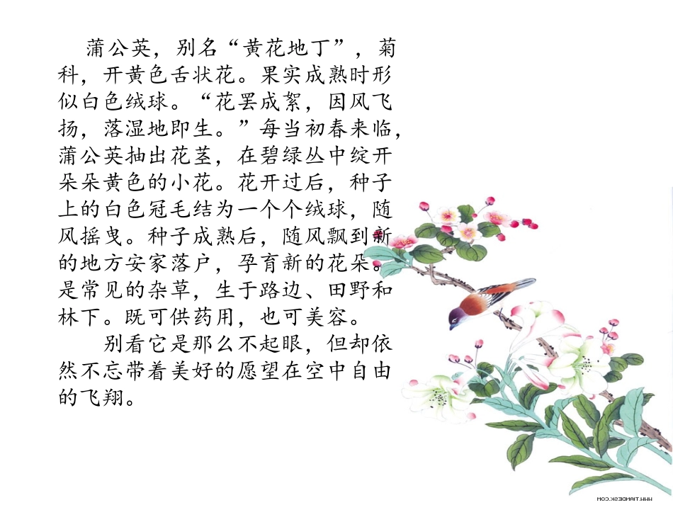 2.金色的草地。上课版_第3页