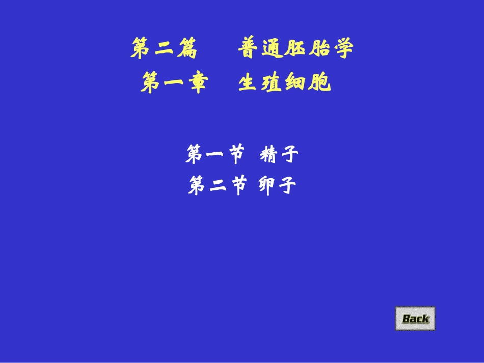 生殖细胞、受精_第3页