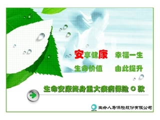 生命安康终身重大疾病保险C款