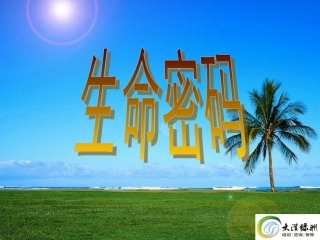 生命密码-大漠绿洲完整版