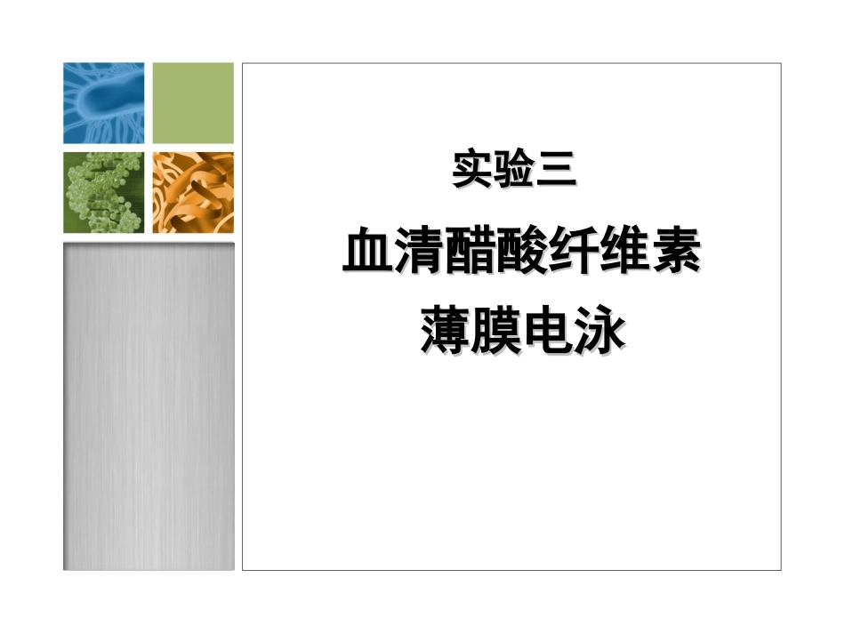 生化实验-血清醋酸纤维素膜电泳_第1页