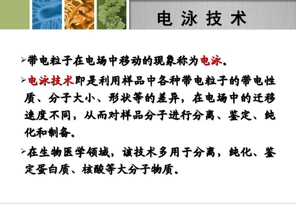 生化实验-血清醋酸纤维素膜电泳_第3页