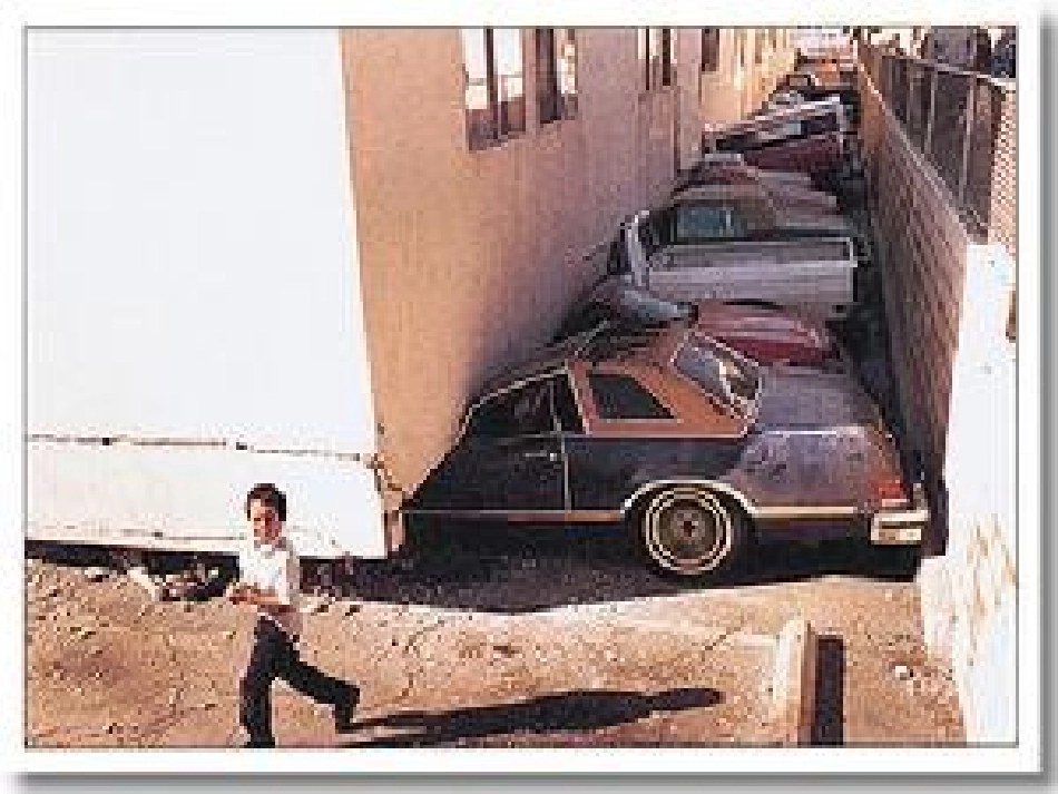 地震中的父与子-(2)_第3页