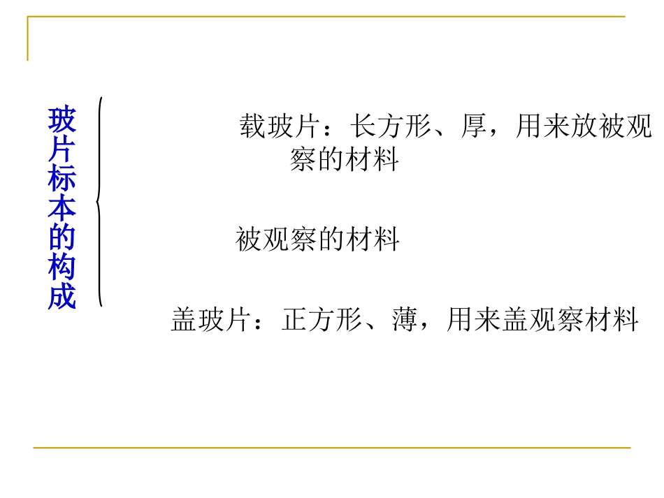 理论：植物细胞动物细胞_第3页