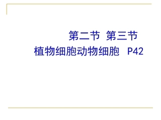 理论：植物细胞动物细胞