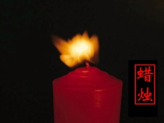 《蜡烛》教学课件1