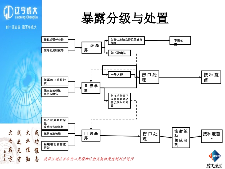 狂犬病暴露后处置_第3页