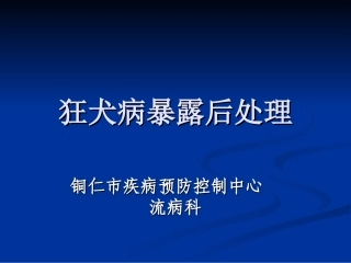 狂犬病暴露后处理
