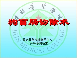 狗盲肠切除术