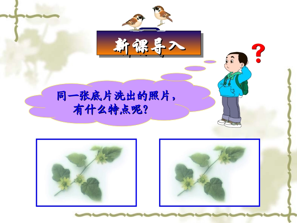 《111全等三角形》课件_第1页