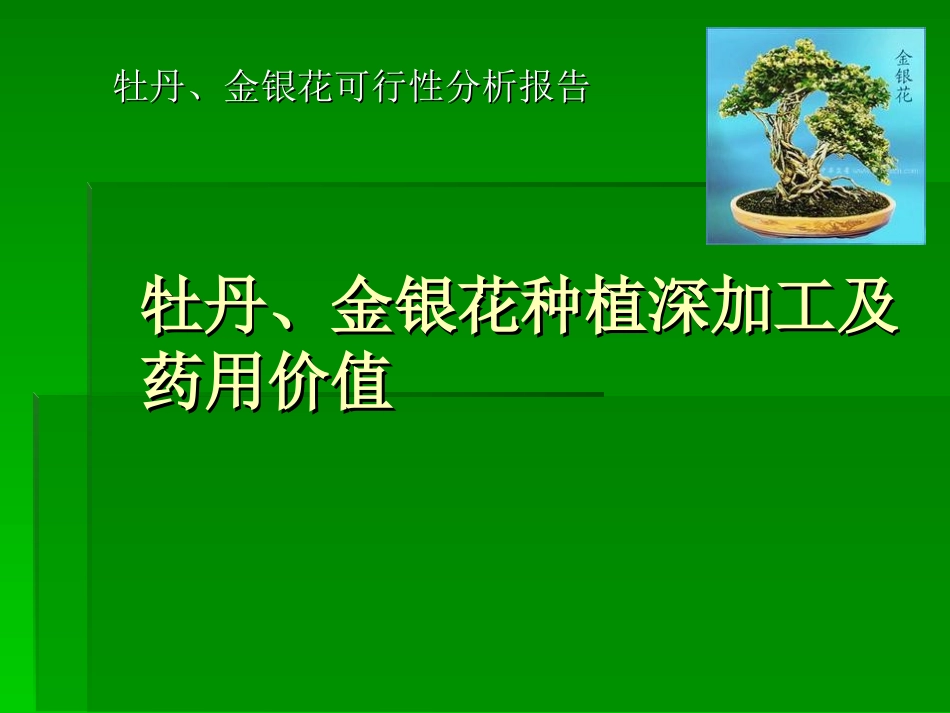 牡丹的药用价值-(1)_第1页