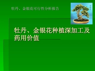 牡丹的药用价值-(1)