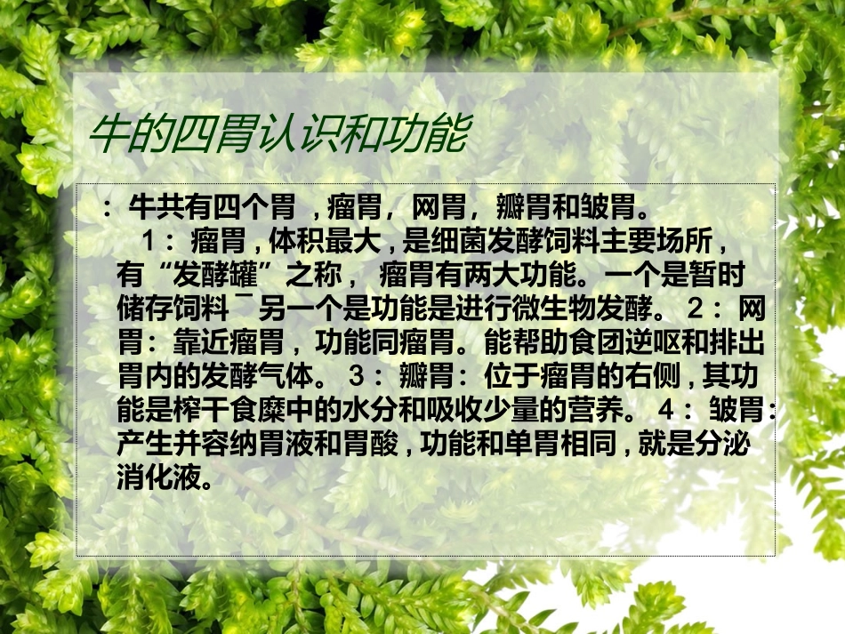 牛的消化系统_第2页
