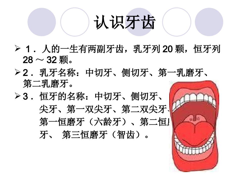 牙齿健康知识_第2页