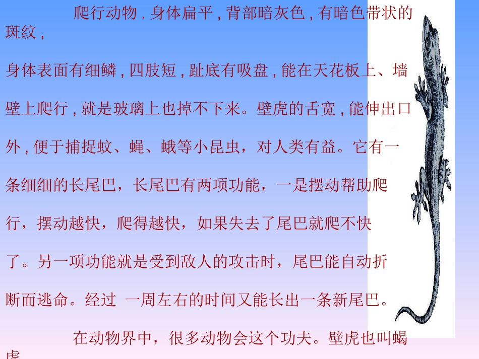 爬行动物.身体扁平,背部暗灰色,有暗色带状的斑纹, 身体表面有细鳞,四..._第1页