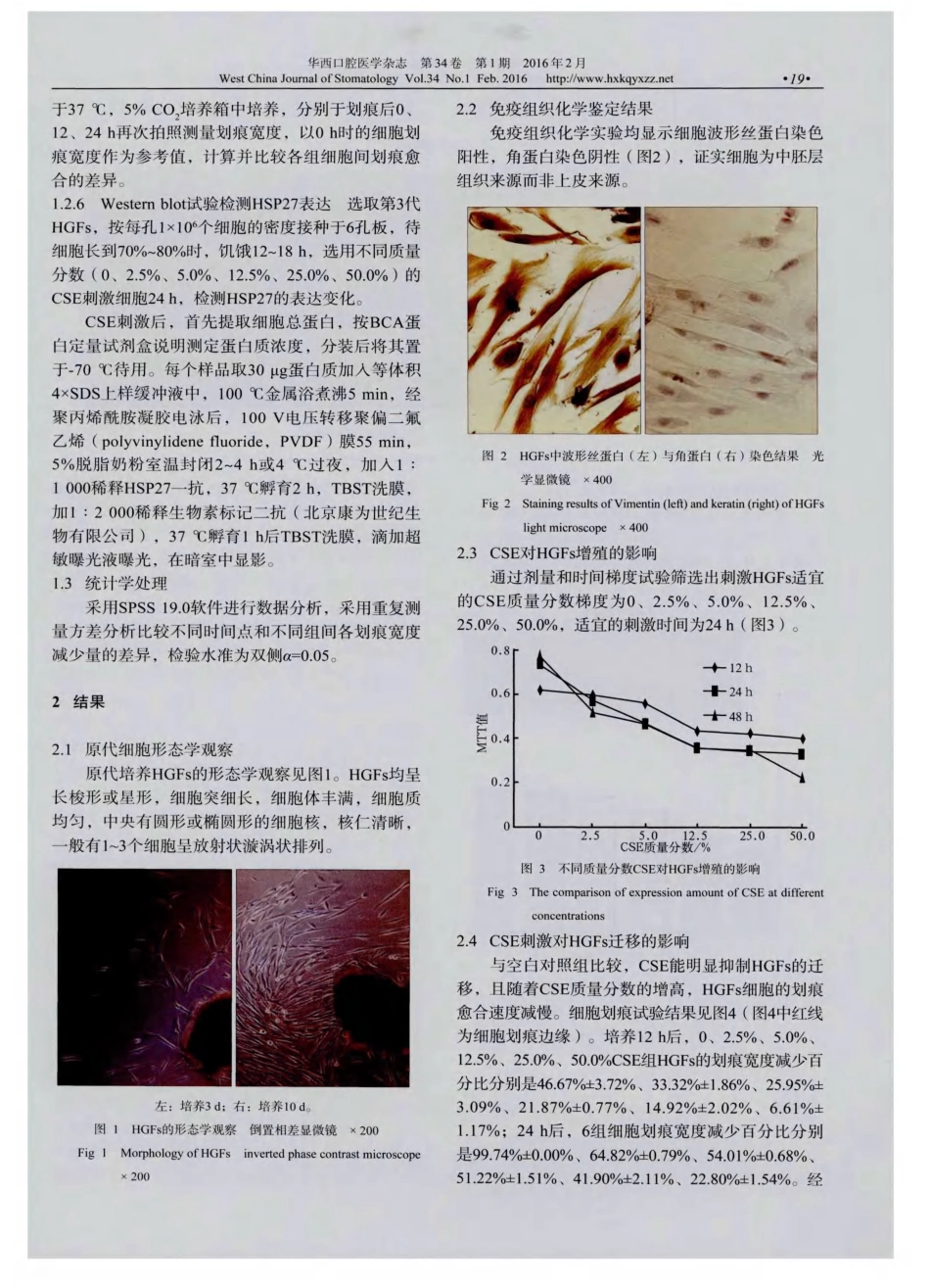 热休克蛋白27在烟草烟雾提取物介导的牙龈成纤维细胞损伤中的表达变化_第3页