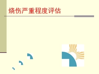 烧伤严重程度评估