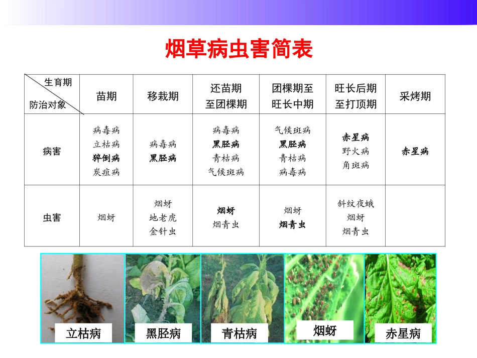 烟草病虫害防治标_第1页