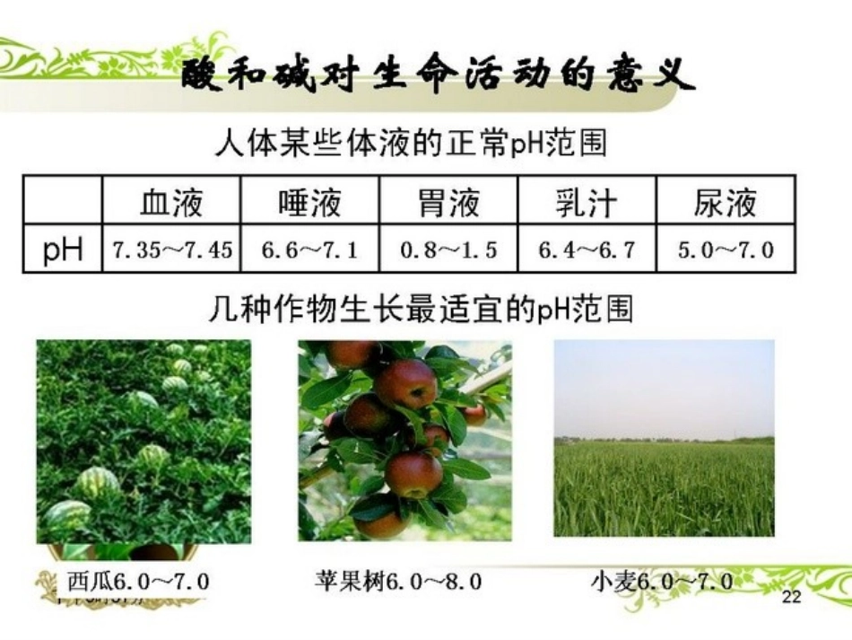 溶液的酸碱性(自)_第2页