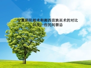 湘西苗族巫术概要