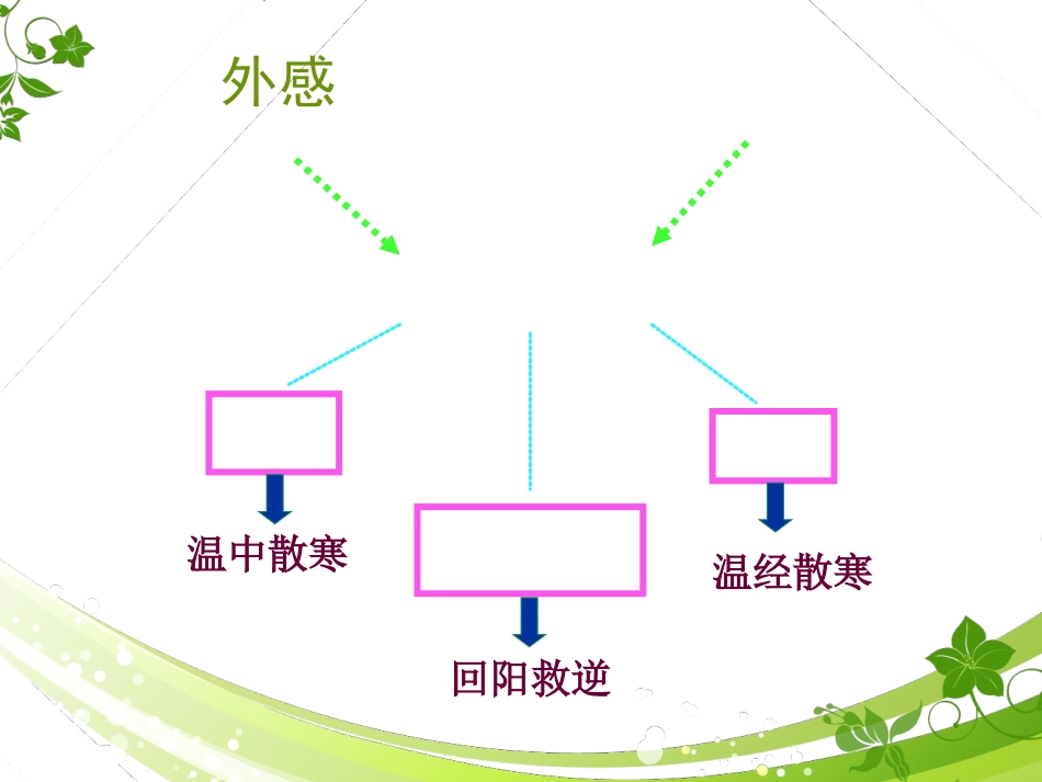 温里剂中成药_第3页