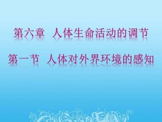 《人体对外界环境的感知》PPT课件