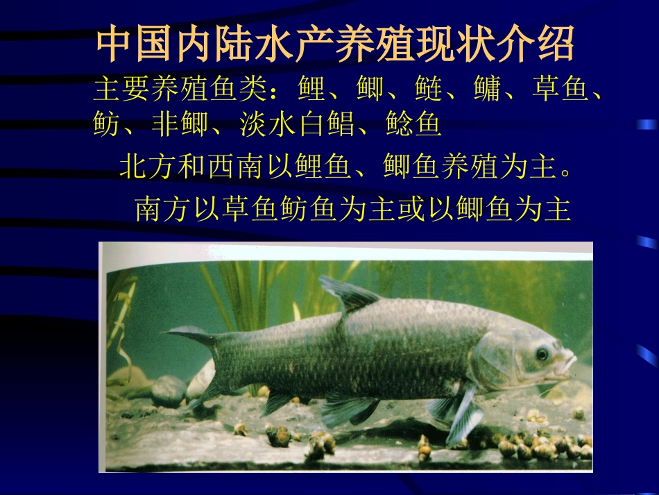 淡水鱼类营养及饲料.ppt_第2页